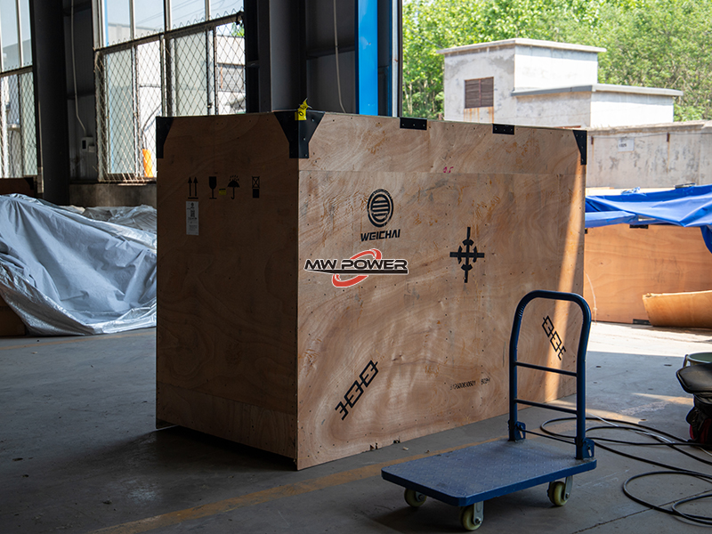 Sortie de groupe électrogène d'origine Weichai
